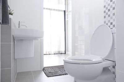 Install a Toilet in Your Bathroom!