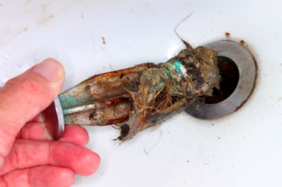 Remove Hair and Grease Buildup with Drain Clog Removal!