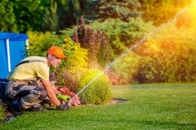 Get The Professional Service You Need!