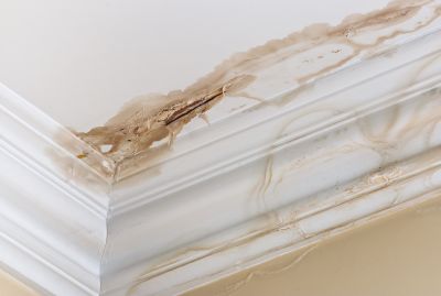Prevent Water Damage