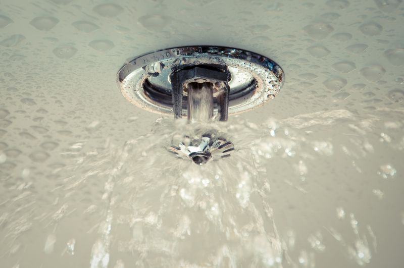 Ensure Compliance With Safety Codes By Getting Fire Sprinklers Installed!