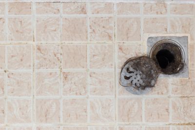 Unclog Shower Drains!