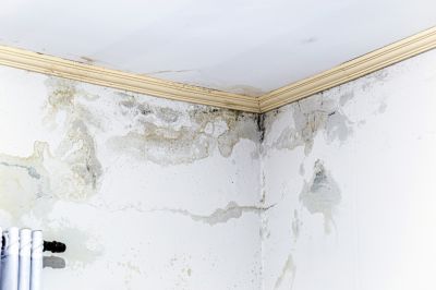 Prevent Mold and Mildew Growth