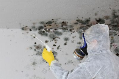 Avoid the Growth of Mold!