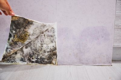 Prevent Mold Growth!