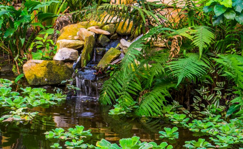 Improves Water Quality