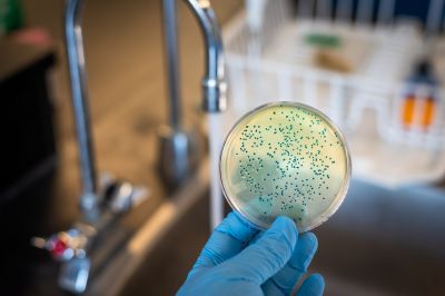 Remove Bacteria and Viruses!
